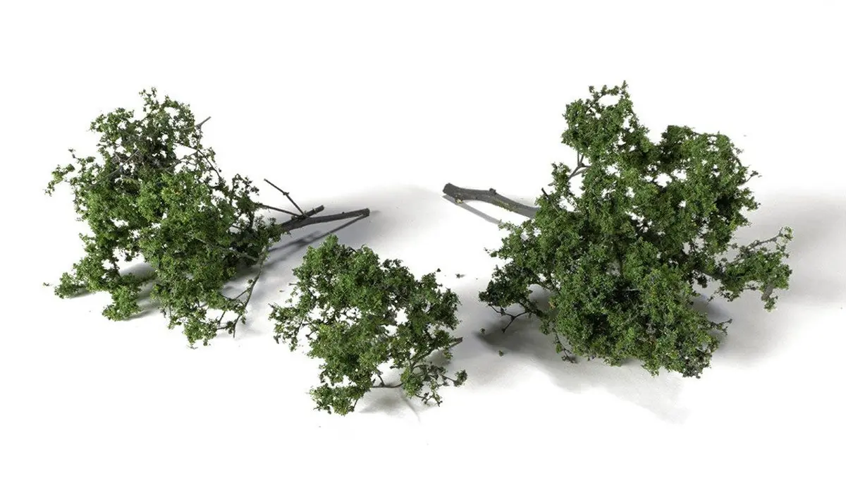 Agt Spring Brambles - G6481 1