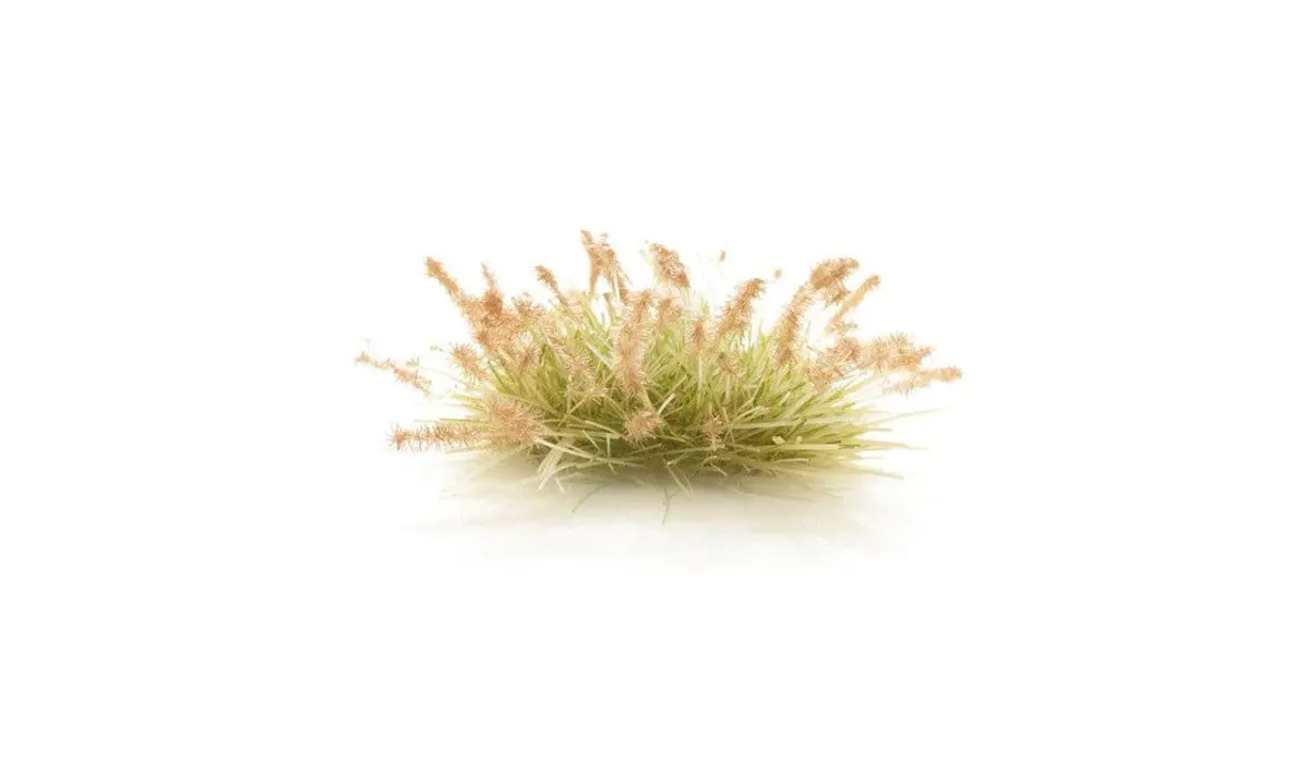 Agt Brown Seed Tufts - G6631 1