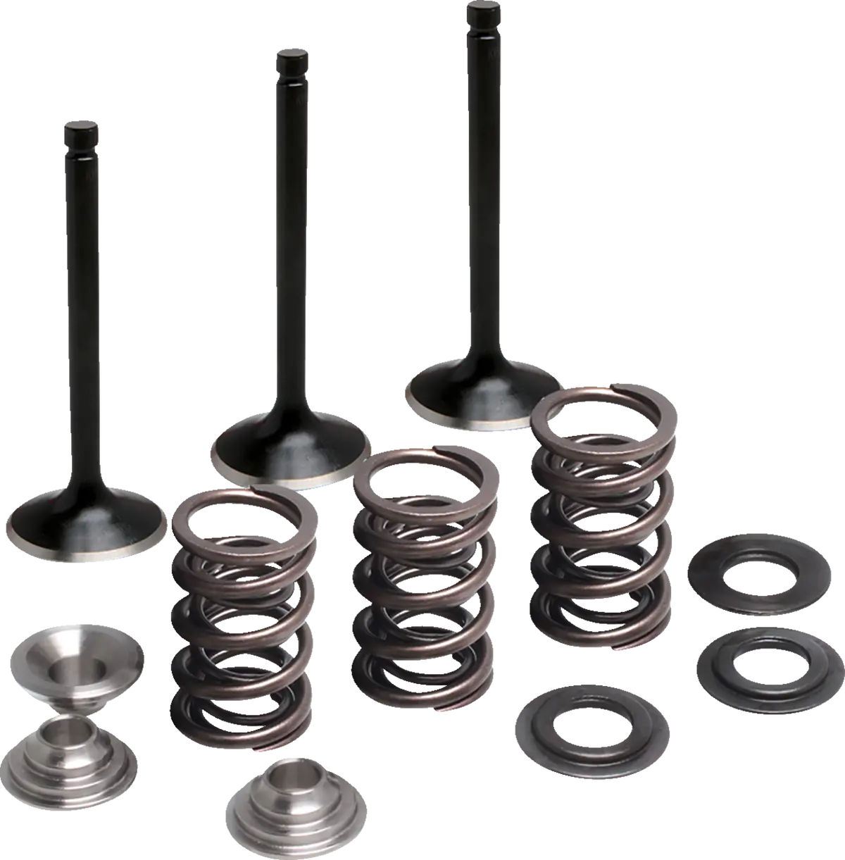 Moose Offroad M80-83050 Valve And Spring Kit Intake Yamaha M80-83050 4-Stroke 1
