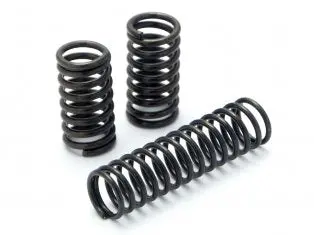 Hpi Racing #72360 - Spring Set (Micro Rs4) 1
