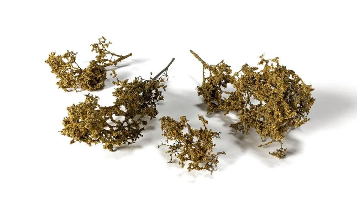 Agt Fall Brambles - G6480 1