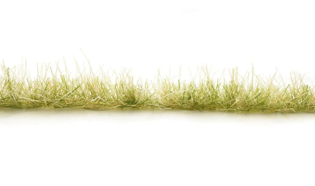 Agt Light Green Edging - G6644 1