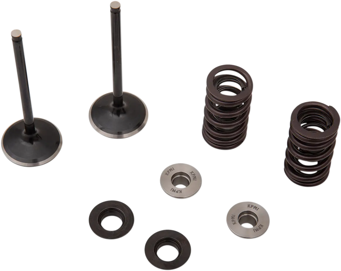 Moose 0926-3192 Intake Valve Spring Kit 19-26 Yamaha Yz250f Yz250fx Wr250f 1