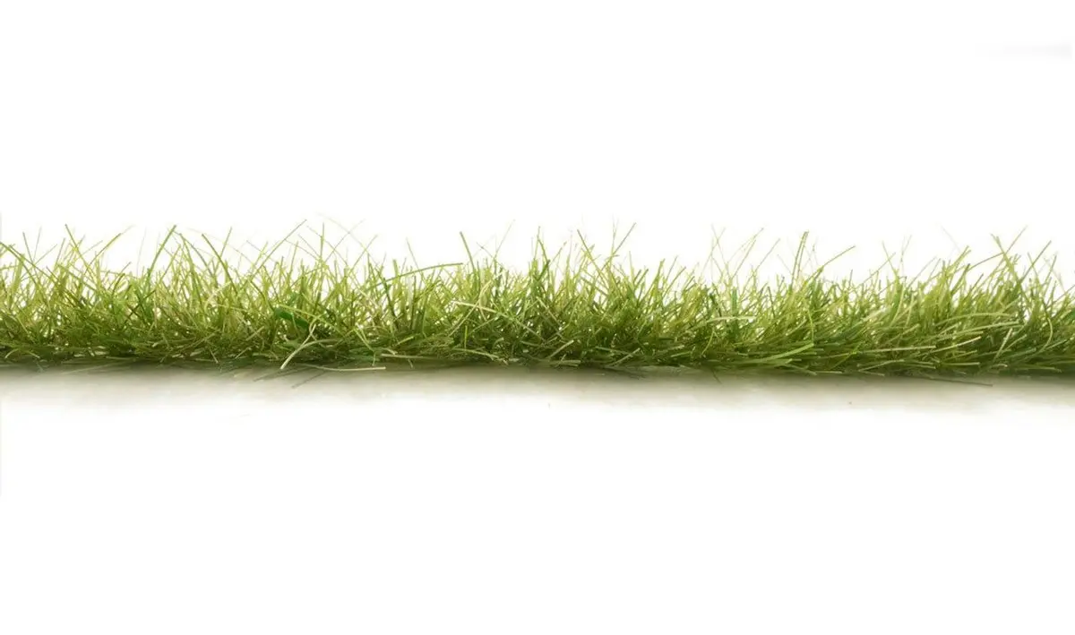 Agt Dark Green Edging - G6645 1