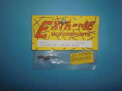 Extreme Motorsports Laydown Soft Silver Brush #3050 1