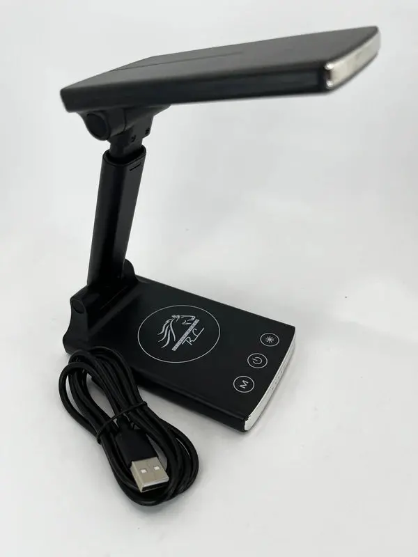 Silver Horse Rc Pocket Pit Light 1