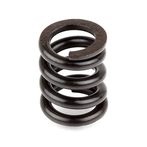Associated B44 Slipper Spring 1