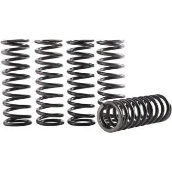 Hinson Hi-Temp Clutch Spring Kit - Cs189-5-0613 - 2018-2024 Honda Crf250r, And Crf250rx 1