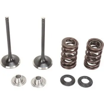 Moose Offroad - 0926-2439 - Stainless Intake Valve & Spring Kit - 2004-2016 Kawasaki Kx250f 1