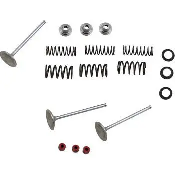 Moose Racing - M80-80950 - Stainless Intake Valve And Spring Kit - 2004-2018 Yamaha Yfz450, Yfz450r 1