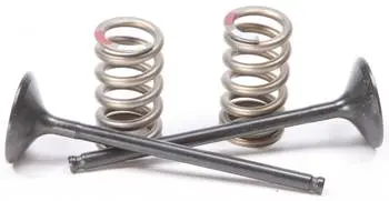 Pro-X Exhaust Valve Conversion Set Ti-Steel - 28.Ses2414-1 - Yamaha Yz250f 2014-2018 1