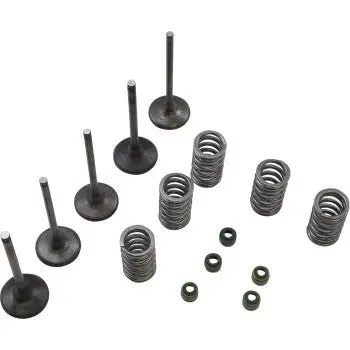 Wiseco Garage Buddy Steel Valve Kit - 2003-2009 Yamaha Yz450f - Svkb2424 1
