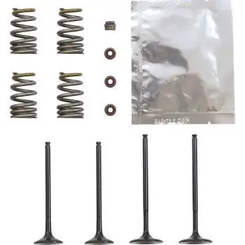 Wiseco Garage Buddy Steel Valve Kit - 2008-2012 Ktm 250 Sx-F - Svkb6329 1