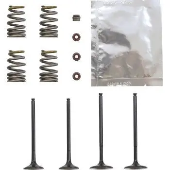 Wiseco Garage Buddy Steel Valve Kit - 2014-2015 Husqvarna Fe 250 - Svkb6334 1