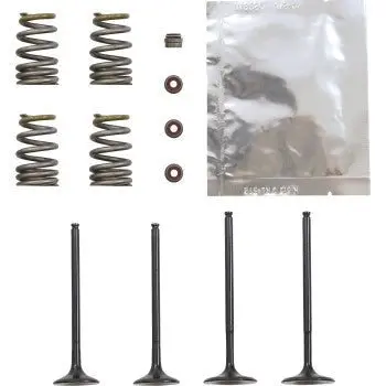 Wiseco Garage Buddy Steel Valve Kit - 2014-2016 Ktm 250 Exc-F - Svkb6334 1